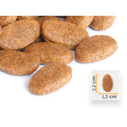 15 Kg Kucho Adult Dog Chicken Tavuklu Yetişkin Köpek Maması