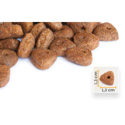 15 KG BonaCibo Adult Dog Lamb & Rice Kuzu Etli ve Pirinçli Yetişkin Köpek Maması