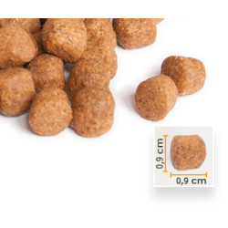 Micho Adult Cat Chicken Tavuklu (Hamsi ve Pirinç eşliğinde) Yetişkin Kedi Maması 3 Kg x 2 Paket (6 Kg)