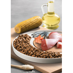 Micho Adult Cat Chicken Tavuklu (Hamsi ve Pirinç eşliğinde) Yetişkin Kedi Maması 3 Kg x 2 Paket (6 Kg)